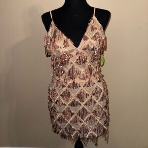 Flapper sequin dress